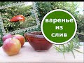 Варенье из Слив Без Стерилизации! Очень ВКУСНОЕ и Очень КРАСИВОЕ!