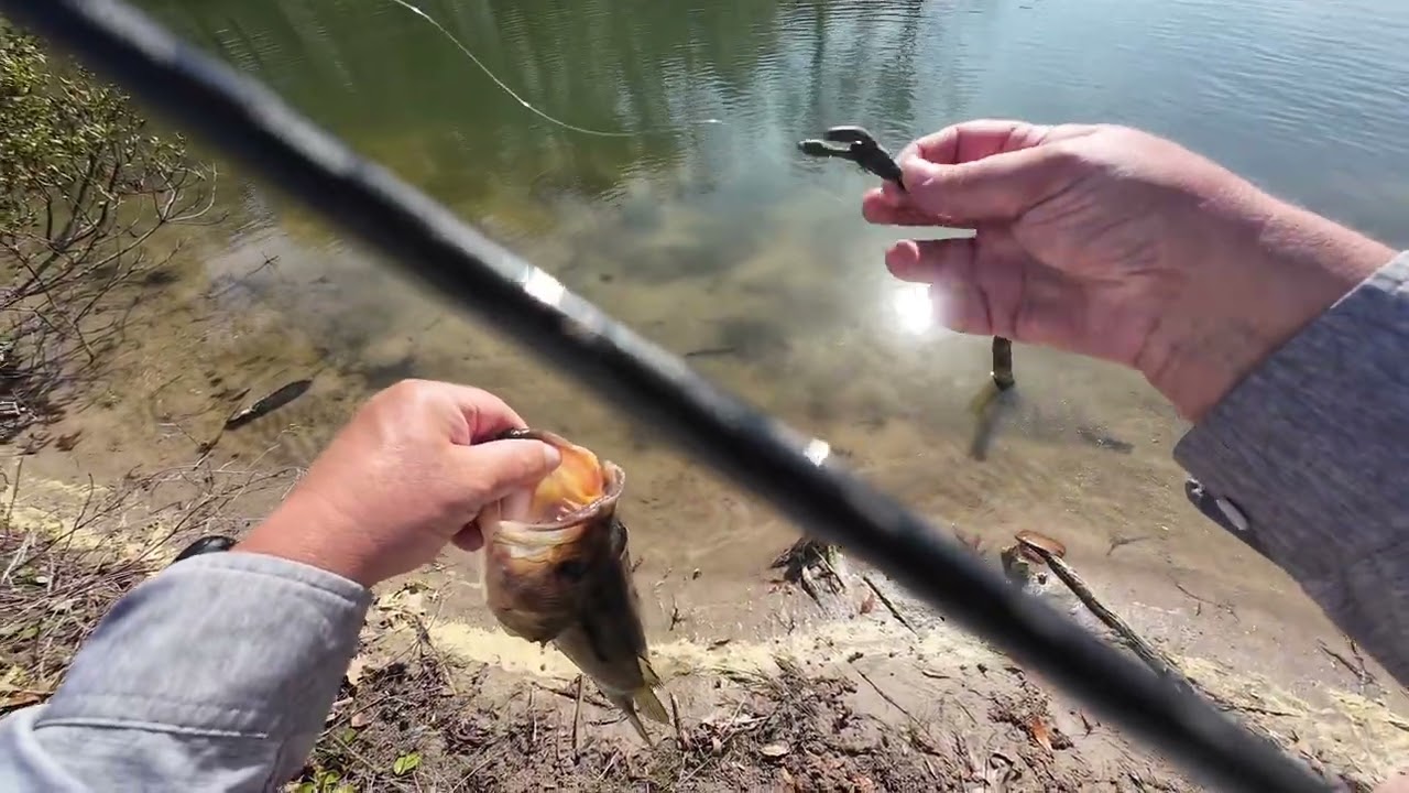 8 hours of grinding out some largemouth.  (3-14-26) #bassfishing #fishing #bankfishing #bfsfishing