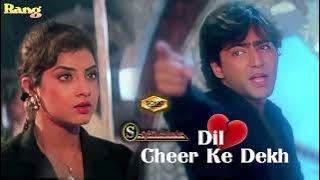 Dil Cheer Ke Dekh (SONIC Jhankar)