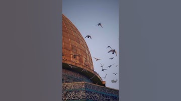 سورة فصلت {الآية 46} بصوت الشيخ ياسر الدوسري ❤️💖