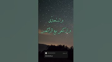 سورة ال عمران ايه 42.43.44