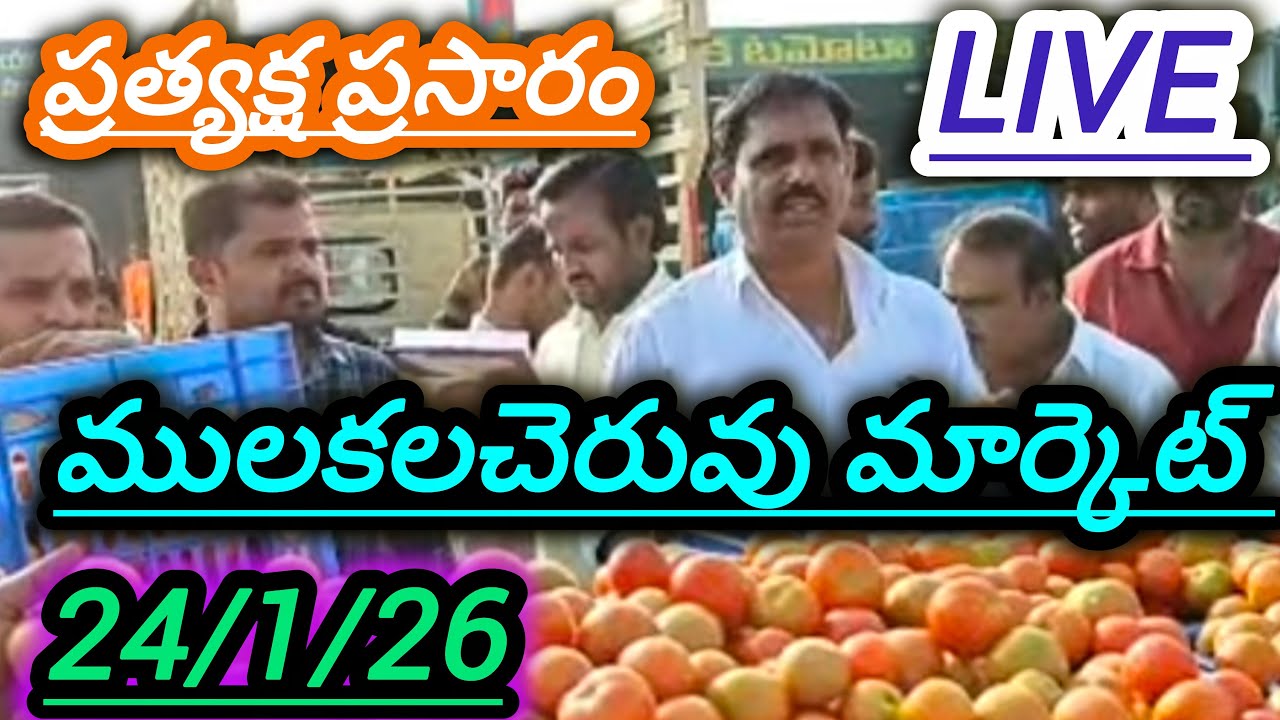 24/1/26; mulakalacheruvu tomato market price today 🍅 