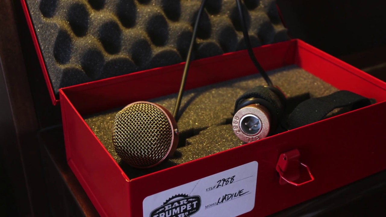 The Nadine Upright Bass Microphone YouTube