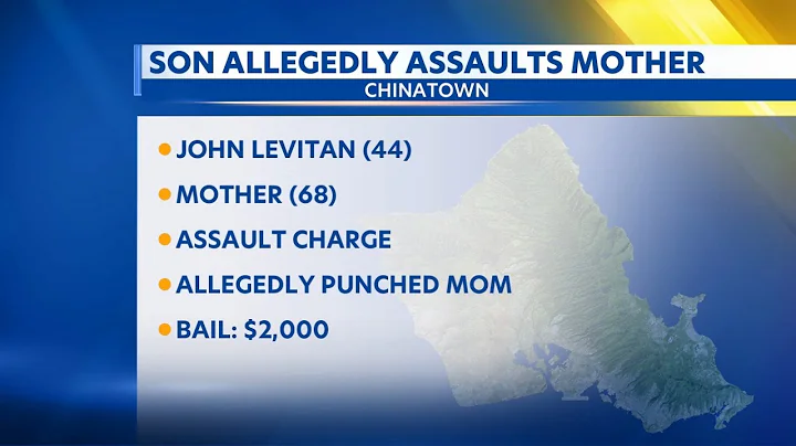 Man arrested for allegedly assaulting elderly mother in Chinatown