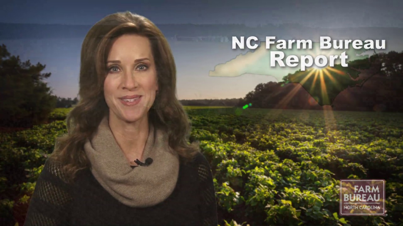 NC Farm Bureau Report for Feb. 14, 2020 YouTube