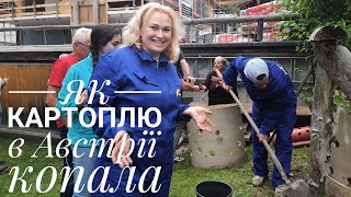 дорослі ігри: як КАРТОПЛЮ в Австрії КОПАЛИ 🥔// Графиня 🇺🇦