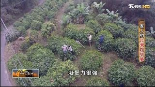 一家人的台灣咖啡夢  TVBS一步一腳印 20161225