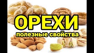 Самые популярные орехи и их полезные свойства Самые популярные орехи и их полезные свойства