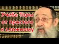 Учеба Торы от простого к сложному. Рав Ашер Кушнир