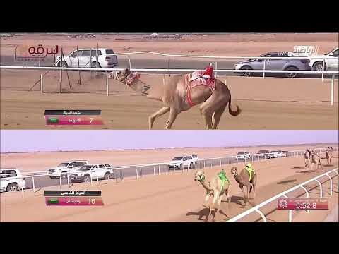 ش2 المهند ل عامر راشد سعيد البريصي المري ولي العهد بالسعودية 2 9 2022 كأس الثنايا قعدان مفتوح