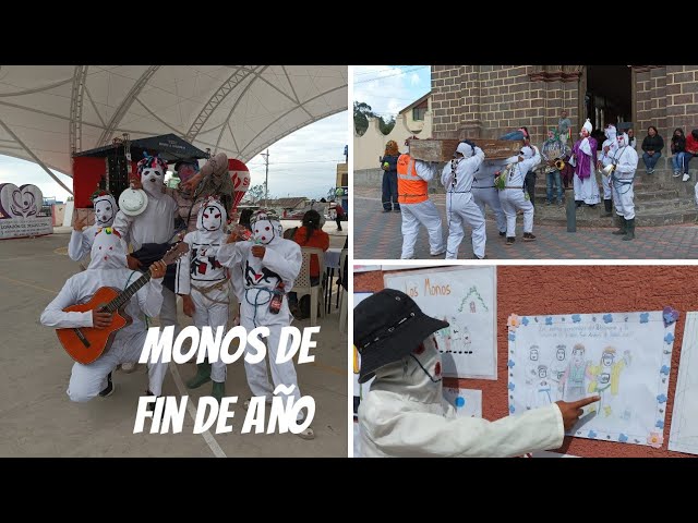 Monos de FIN DE AÑO en San Andrés de Pillaro 🐒 - YouTube
