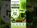 Wheatgrass Dehydration Business ₹50,000 से शुरू करें High Profit Superfood Business | Complete Guide