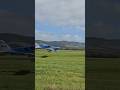 Small Plane Near Miss Birds