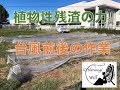 鋤き込んだ植物性残渣で化成肥料要らず虫寄らず⁉️凄い❗️