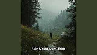 Rain Beneath Dark Skies, Pt.17