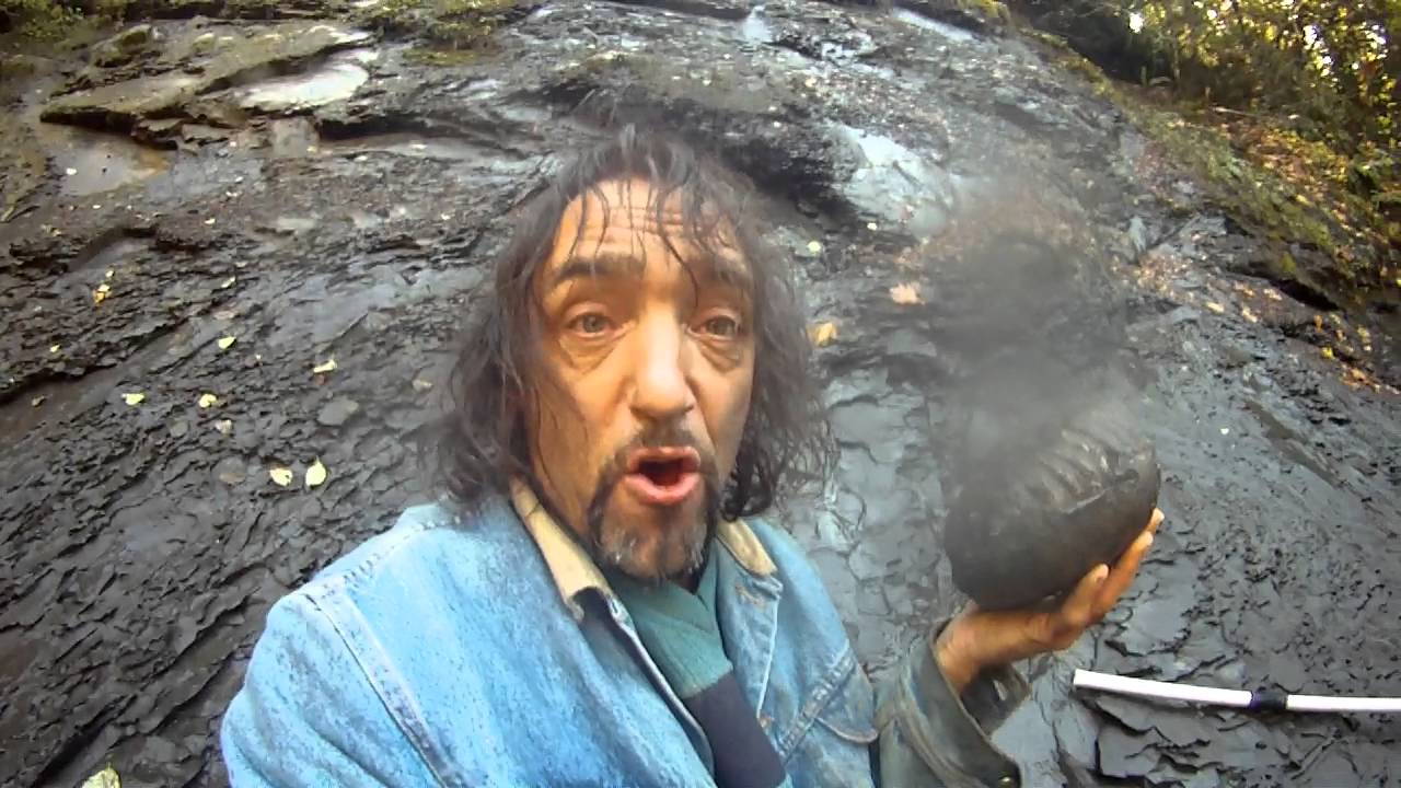 Big Thick Freaky Ammonite Licked By Skippy The Fossil Freak