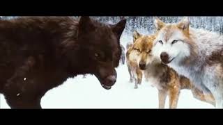 Оборотни~драконы~варги~клип( заказной для The Laika schleich) ~Satisfya Оборотни~драконы~варги~клип( заказной для The Laika schleich) ~Satisfya