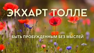 Быть пробужденным без мыслей - ЭКХАРТ ТОЛЛЕ [NikOsho]