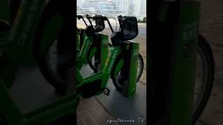 Careem Bike Dubai #careem #bike #shorts #dubai #dubaimarina #trending