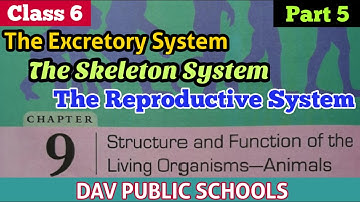 DAV class 6 Science chapter 9 Structure and Functions of the Living Organisms Animals