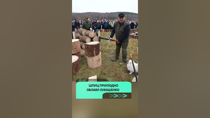 Шпиц прилюдно облаял Лукашенко во время рубки дров #лукашенко #беларусь #новости