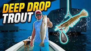 DockSide TV 'Deep Water Drop Shotting'