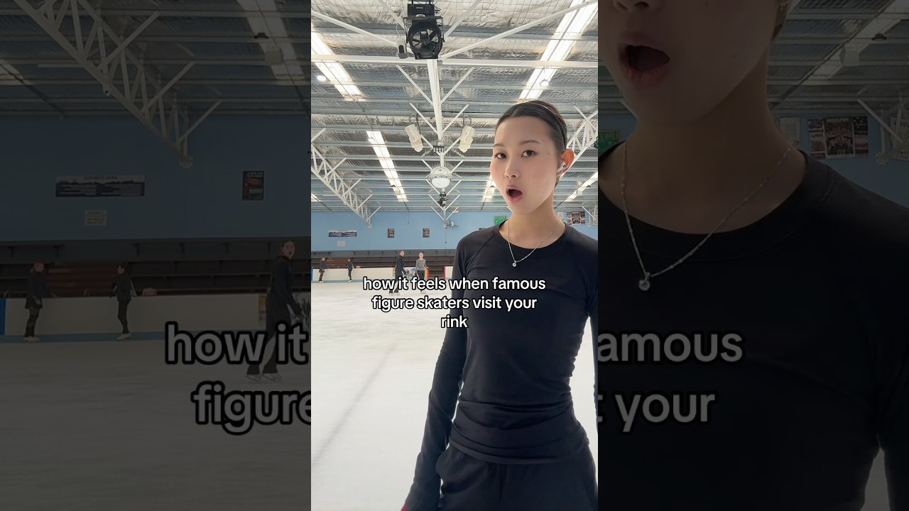 FAMOUS SKATERS?!! HERE!! 