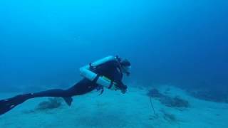 Padi Tec 45 Final Dive - With Utila Dive Centre