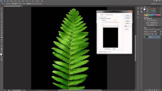 Creating Opacity Maps for Foliage