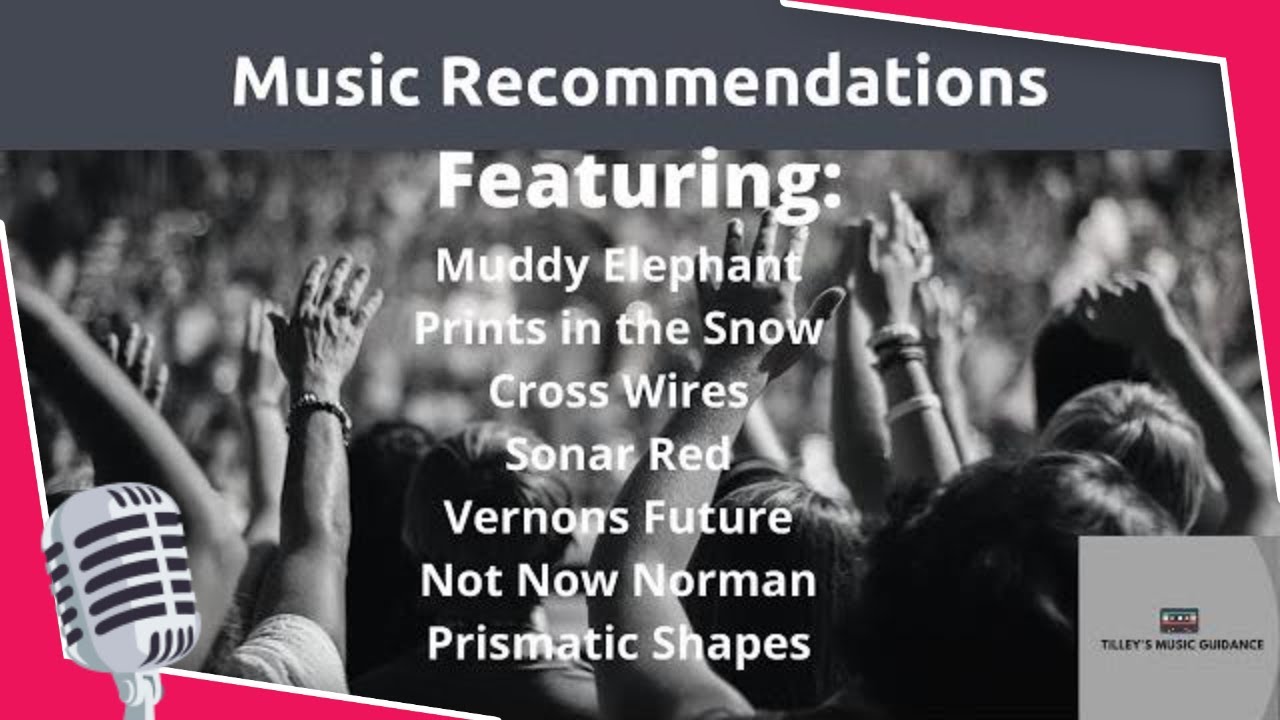 The Music Recommendations Show. Unsigned, Independent, and Upcoming Musicians. Episode 14