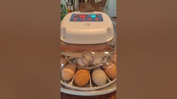 HOW TO USE THE NURTURE 360 INCUBATOR