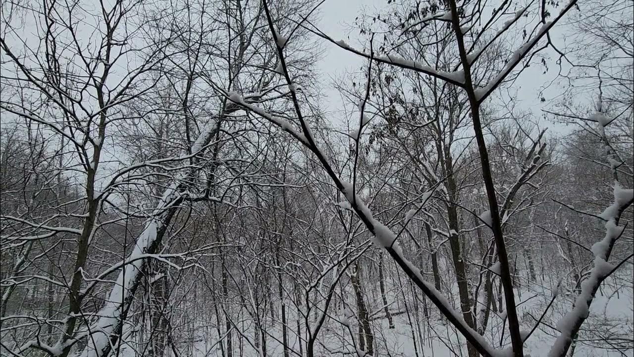 Opening Day Deer Season Pom Mahathath Perryville Missouri YouTube
