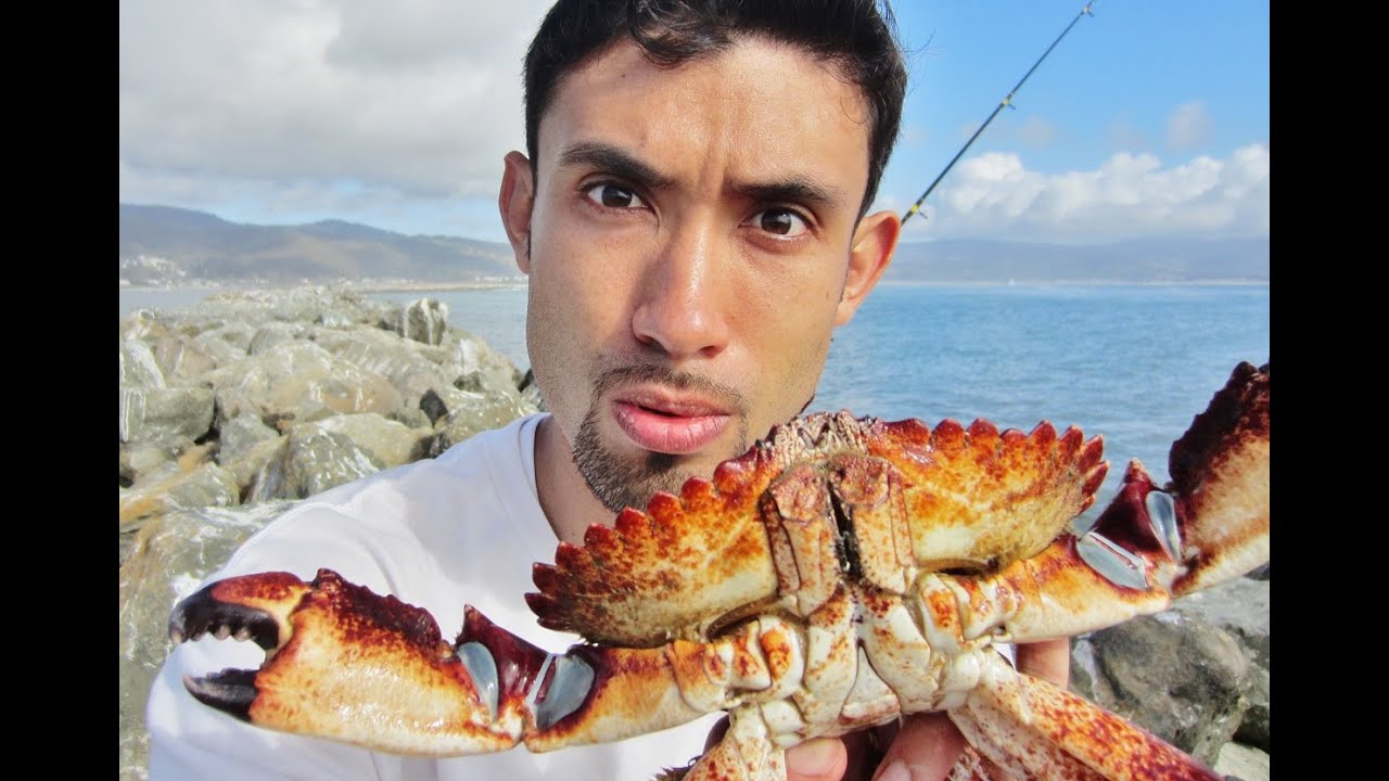 The Ultimate Guide To Crabbing with Snares -Crabbing HQ