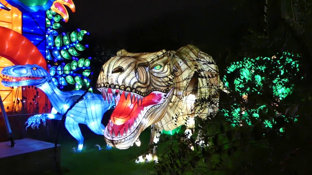 Illuminations Jardin des Plantes YouTube