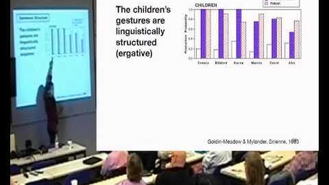 Susan Goldin-Meadow "Insight into Core knowledge from Gesture",  Nias/Lorentz workshop