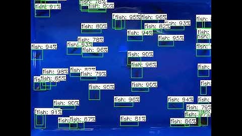 Tiny fish detection with yolov4 and tensorflow Api