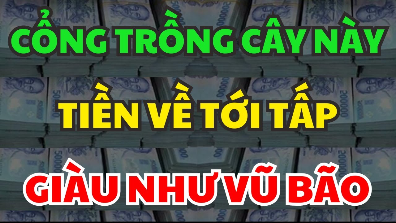 Nhà Ai Cổng Có Cây Này, Thì Giàu Cực Nhanh, Tiền Tự Đến, Nhà Giàu Luôn Trồng