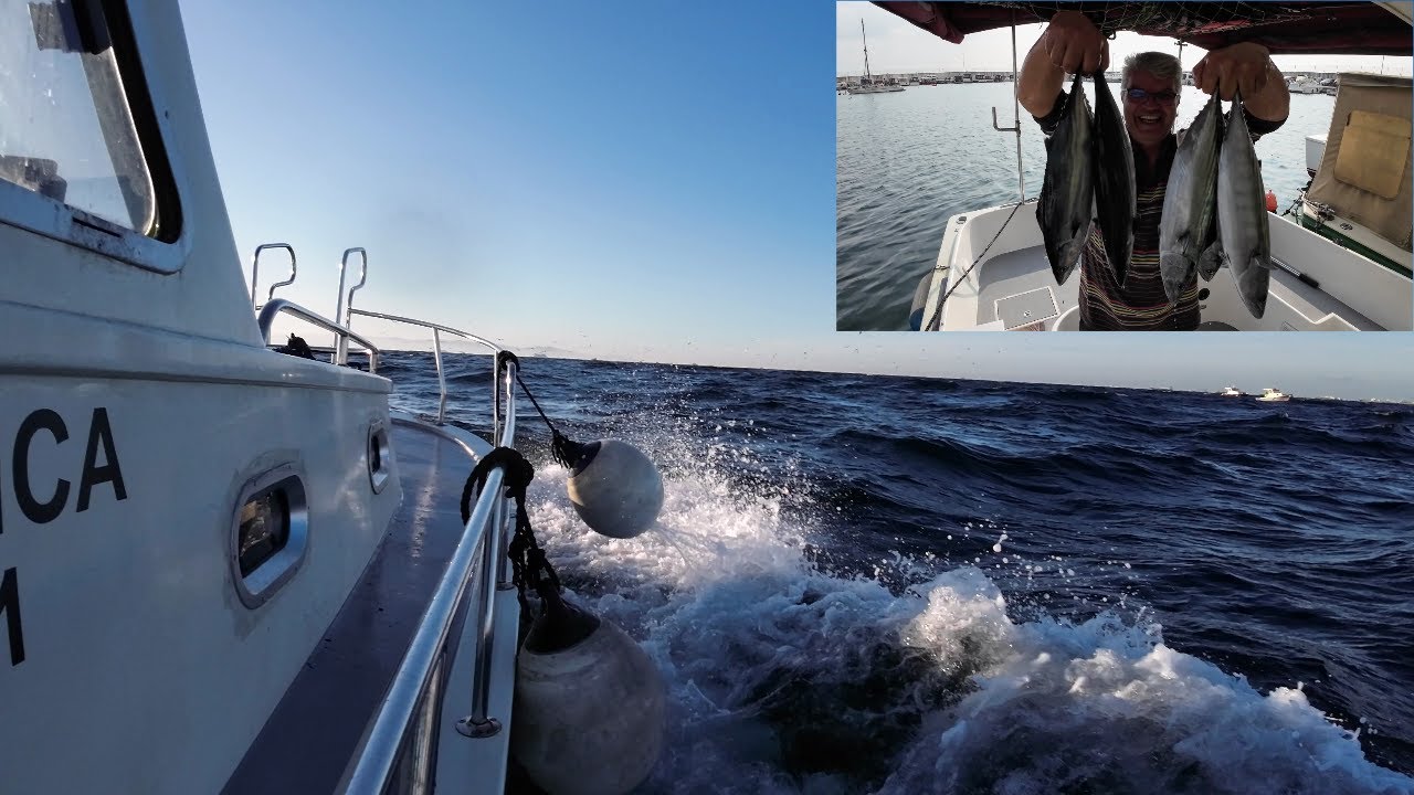 Farklı Günlerden PALAMUT AVI #fishing #fish ..