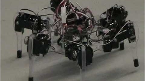 Hexapodinno Robot  - by CustoBots