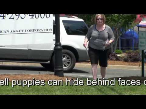 PetLand puppy mill protest: Charlotte, NC 5/9/09