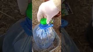 Сажаем огурцы 🥒🥒🥒 когда на улице еще минус