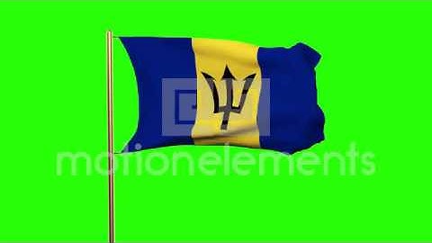 Barbados Flag Waving In The Wind. Green Screen, Alpha Matte. Loopable Animation Stock Animation