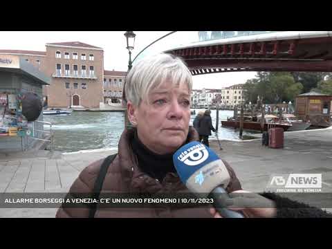 ALLARME BORSEGGI A VENEZIA: C’E’ UN NUOVO FENOMENO | 10/11/2023