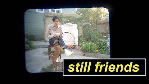Forrest Nolan - Still Friends (Official Video)
