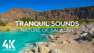 8 HRS Tranquil Sounds of a Little Oasis - Serene Beauty of Salalah Nature (Oman) in 4K UHD