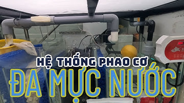 HƯỚNG DẪN LÀM HỆ THỐNG PHAO CƠ CHO HỒ CÁ