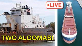 DOUBLE HEADER! Algoma Sault & Algoma Buffalo Transit Lock 7 LIVE