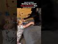 Ranking the Cutest Baby Responses Ever (Baby With Cat Edition)