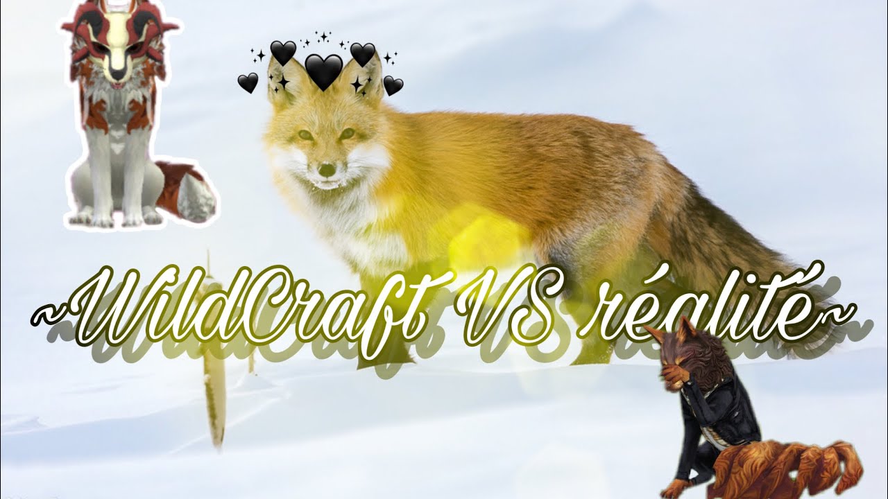 •WildCraft VS réalité• •WildCraft VS reality• [Description] YouTube