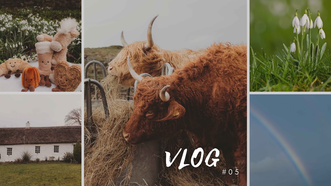 VLOG #05 | Nasz spacer w Pentlandach 🌿 Piknik i Szkockie krowy 🤎